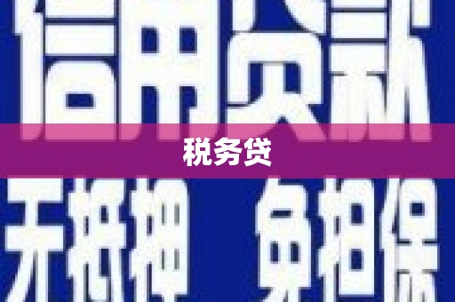 吴忠税务贷