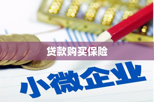 汉川贷款购买保险