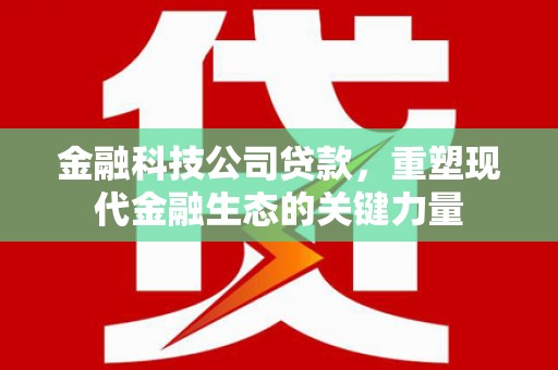 五指山金融科技公司贷款，重塑现代金融生态的关键力量