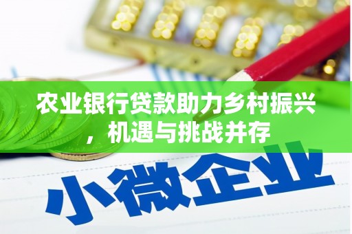 昭平农业银行贷款助力乡村振兴，机遇与挑战并存