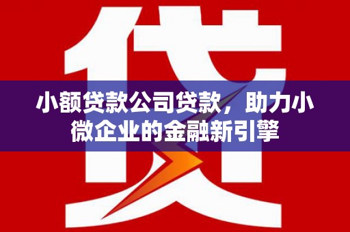 乐清小额贷款公司贷款，助力小微企业的金融新引擎