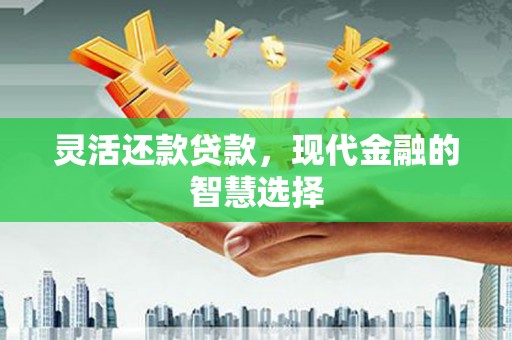 顺城灵活还款贷款，现代金融的智慧选择