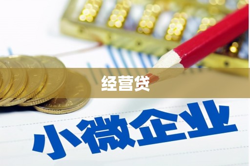 华龙经营贷