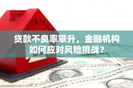 久治贷款不良率攀升，金融机构如何应对风险挑战？