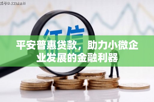 玉井平安普惠贷款，助力小微企业发展的金融利器