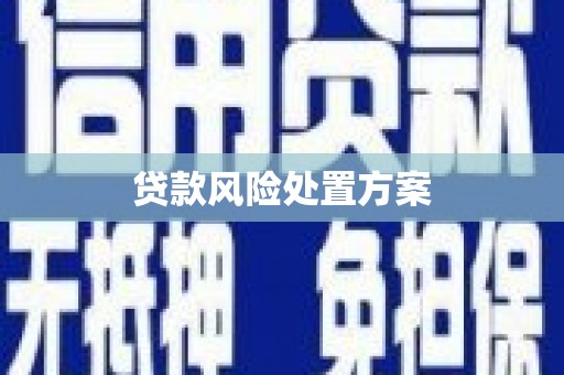 沧源贷款风险处置方案