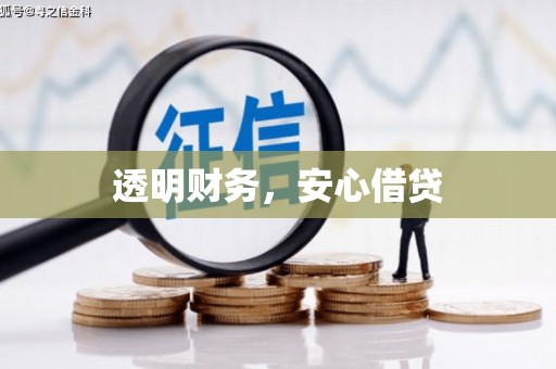云溪透明财务，安心借贷
