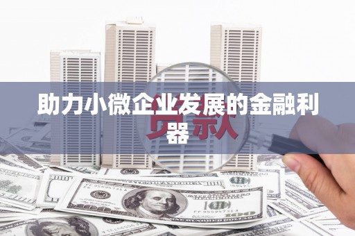 池上助力小微企业发展的金融利器