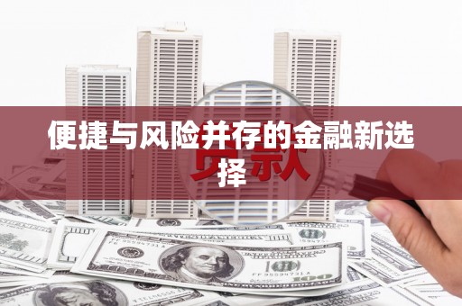 海东便捷与风险并存的金融新选择