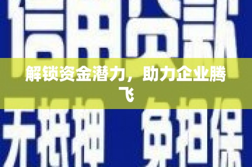 西吉解锁资金潜力，助力企业腾飞