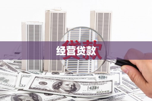 新泰经营贷款