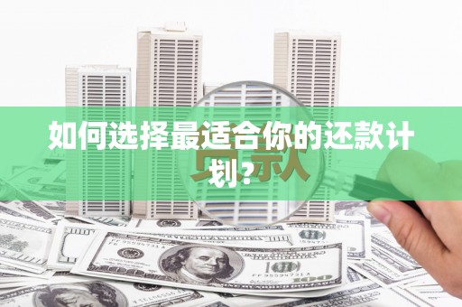 凤阳如何选择最适合你的还款计划？