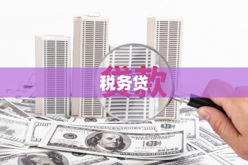 九台税务贷